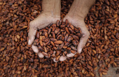 Safra de cacau supera expectativas e movimenta porto de Ilhéus