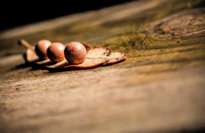 Delectus suscipit voluptatem quisquam ipsam