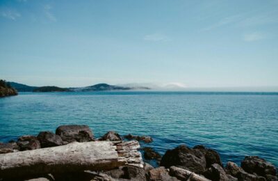 Quo saepe suscipit totam minus ullam et